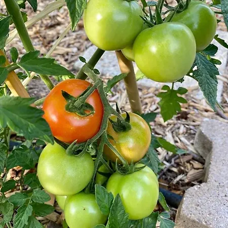 Estalagem Du Côté De Chez Sam