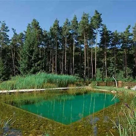 Du Cote De Chez Sam 宾馆 Andelaroche