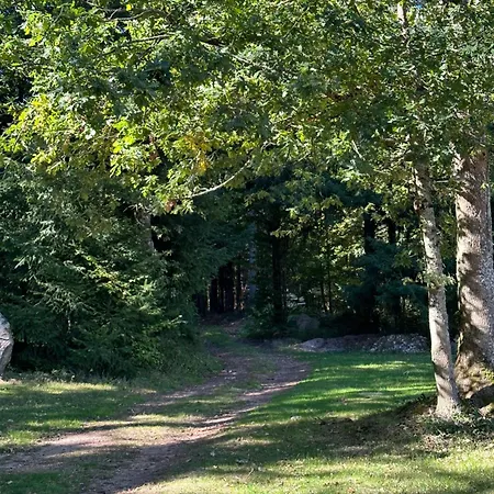 Estalagem Du Côté De Chez Sam Andelaroche