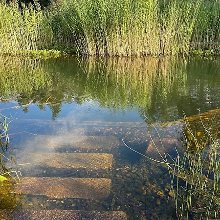 宾馆 Du Cote De Chez Sam 3*