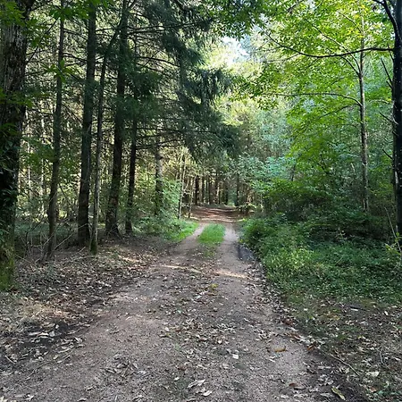 Du Cote De Chez Sam 宾馆 Andelaroche