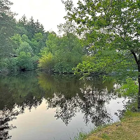 Du Cote De Chez Sam