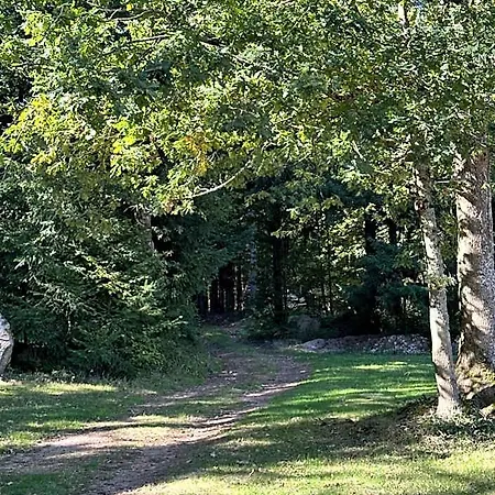 Du Cote De Chez Sam Andelaroche