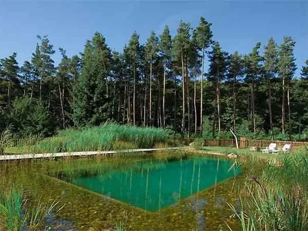 Du Côté De Chez Sam Inn Andelaroche