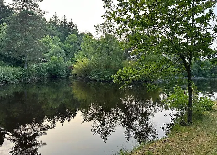 Du Côté De Chez Sam Andelaroche