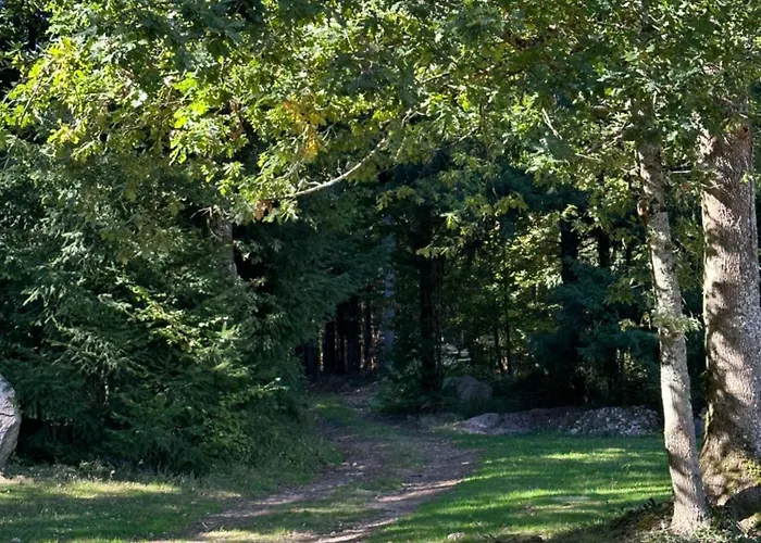 宾馆 Du Cote De Chez Sam Andelaroche